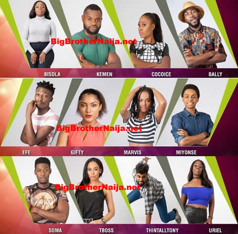 Big Brother Naija 2017 Housemates, 7 males and 7 females