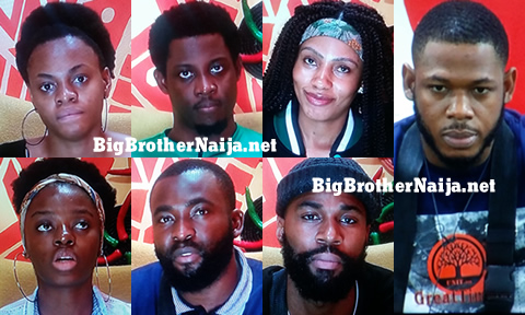 Big Brother Naija 2019 Week 8 Nominatted Housemates, Mike, Seyi, Gedoni, Frodd, Esther, Mercy and Diane
