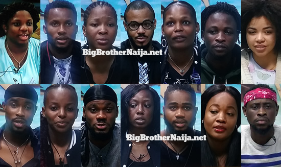Big Brother Naija 2020 Week 4 Nominated Housemates