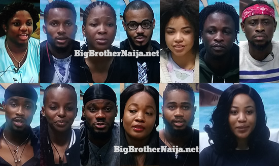 Big Brother Naija 2020 Week 5 Nominated Housemates