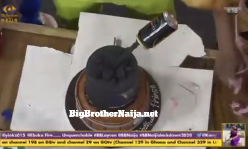 Prince Nelson Enwerem birthday cake on Big Brother Naija 2020 day 14