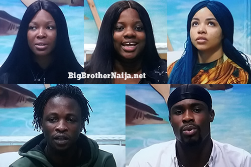 Big Brother Naija 2020 'Season 5' Lockdown Finalists Voting