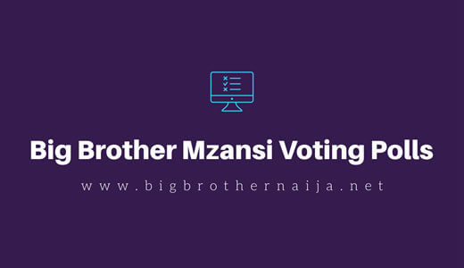 Big Brother Mzansi Online Voting Polls